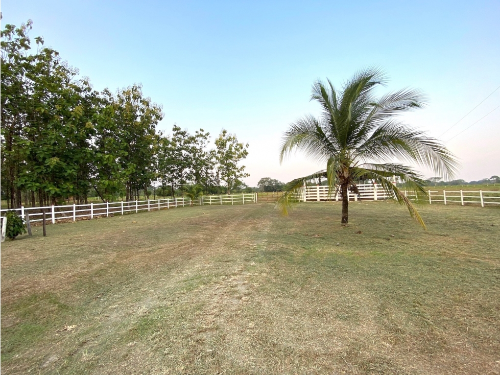 VENDO FINCA::VIA PUERTO LÓPEZ::VEREDA GUAYURIBA::$2.400MM - 3
