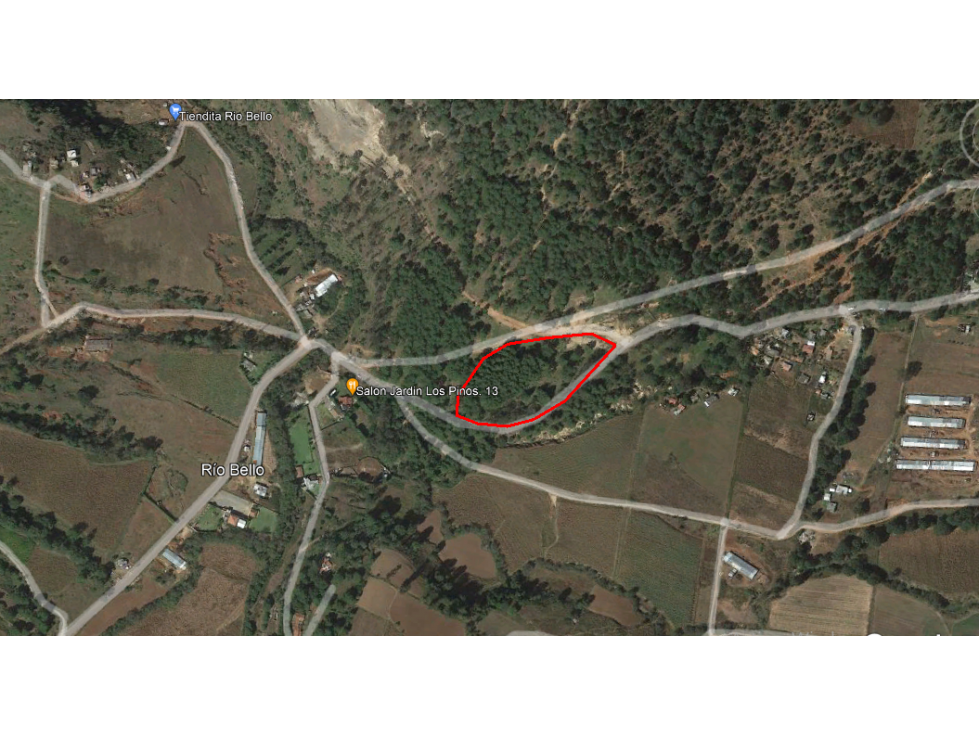 -TERRENO DE 15,000 M2 SOBRE CARRETERA SAN JOSE DE LAS TORRES - 1