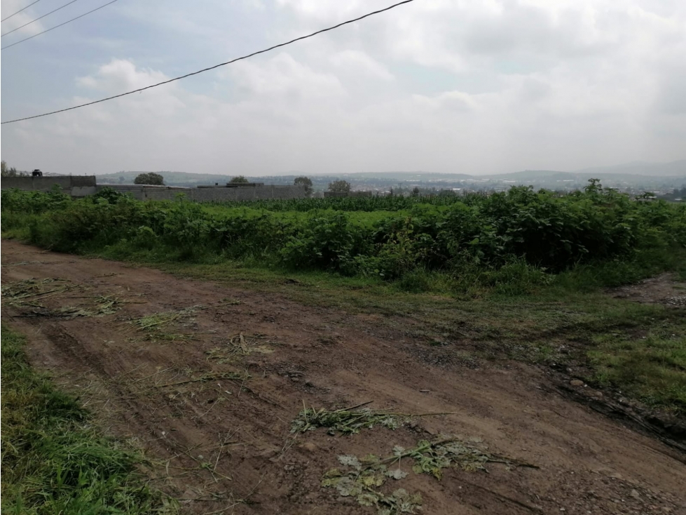 TERRENO DE 10X20 LOMAS DE TORREON - 1
