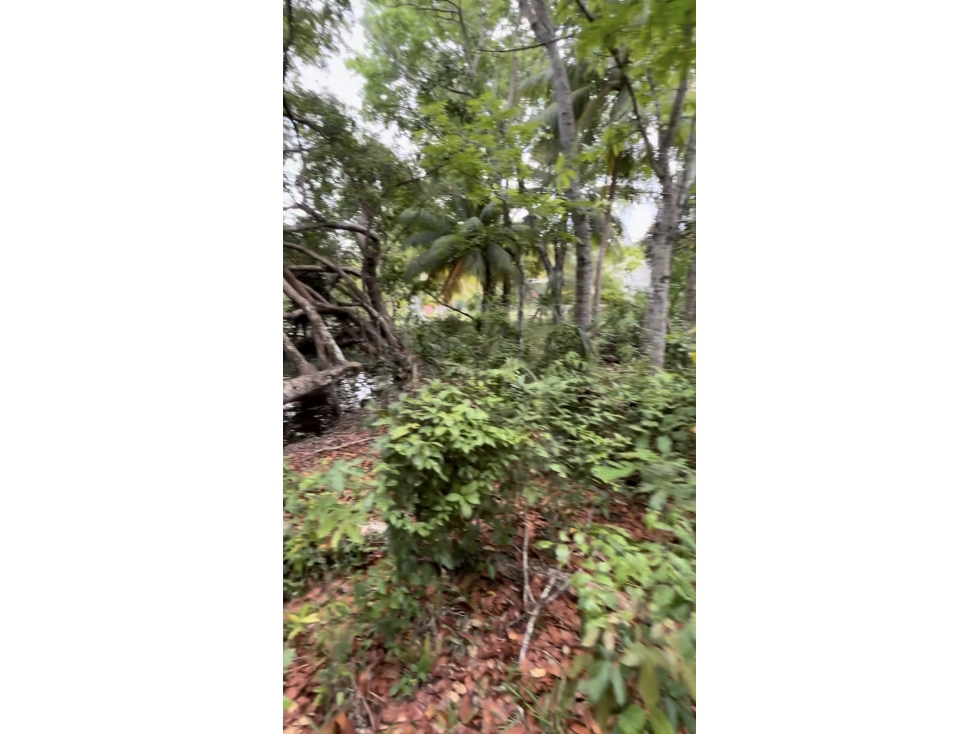 Lagoon Front Property for Sale in Buenavista, Bacalar — foto 6