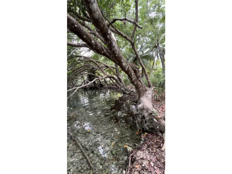 Terreno Frente Laguna en Venta Buenavista, Bacalar — foto 6