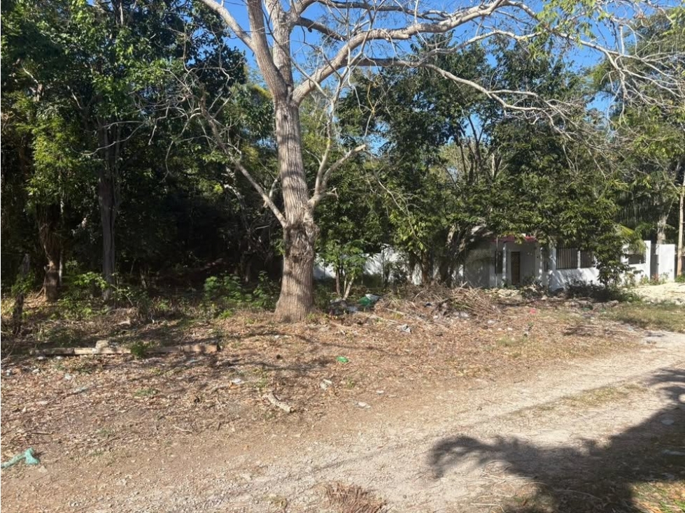 TERRENO EN VENTA EN BACALAR / XULHA EXCELENTE FRENTE PARA INVERSIÓN - 5