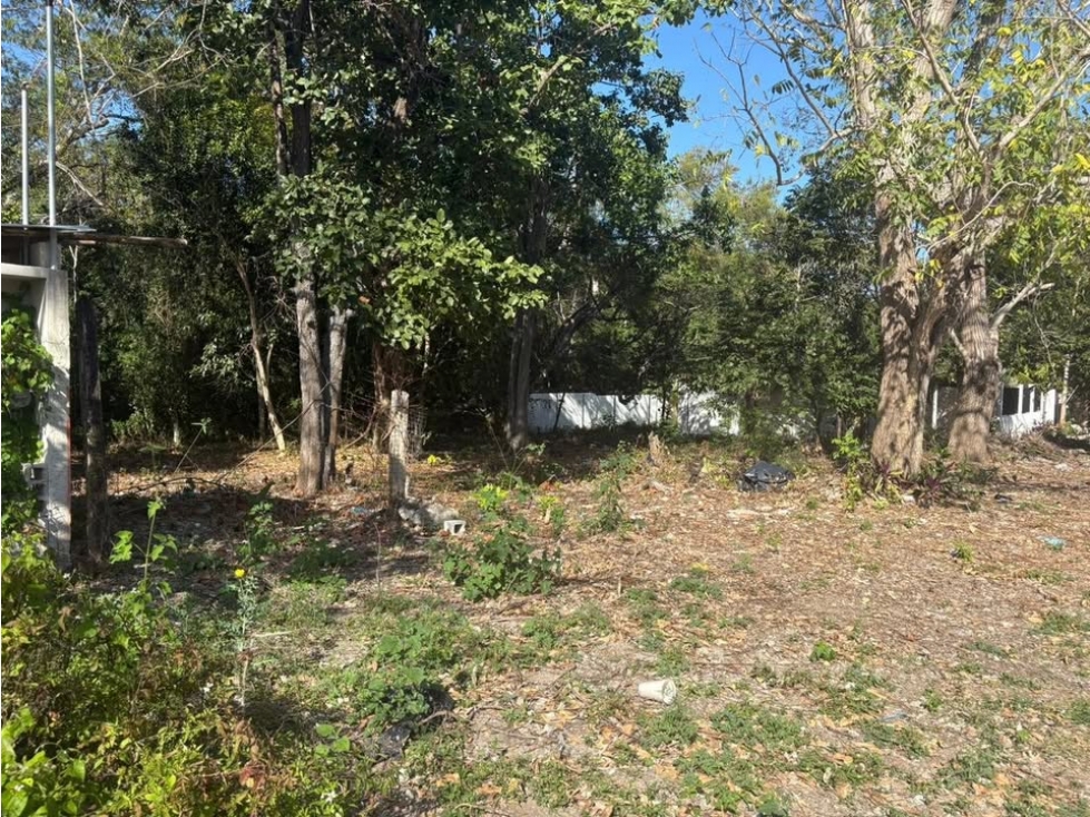 TERRENO EN VENTA EN BACALAR / XULHA EXCELENTE FRENTE PARA INVERSIÓN - 6