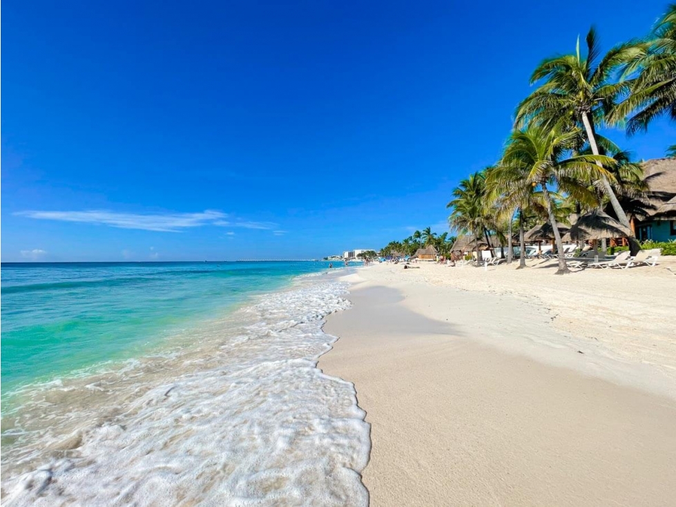 Terreno ideal para desarrollo en Playa del Carmen - 5