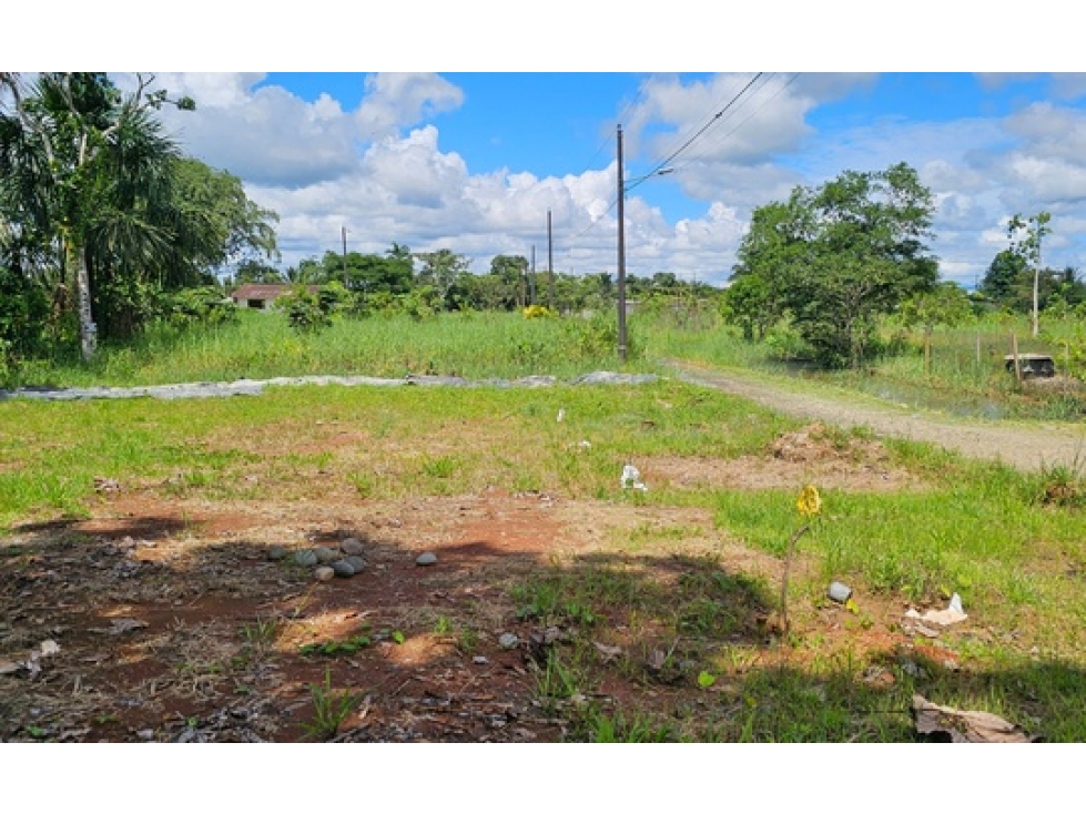 TERRENO EN EL SECTOR ELÍAS GAVILANEZ - 3