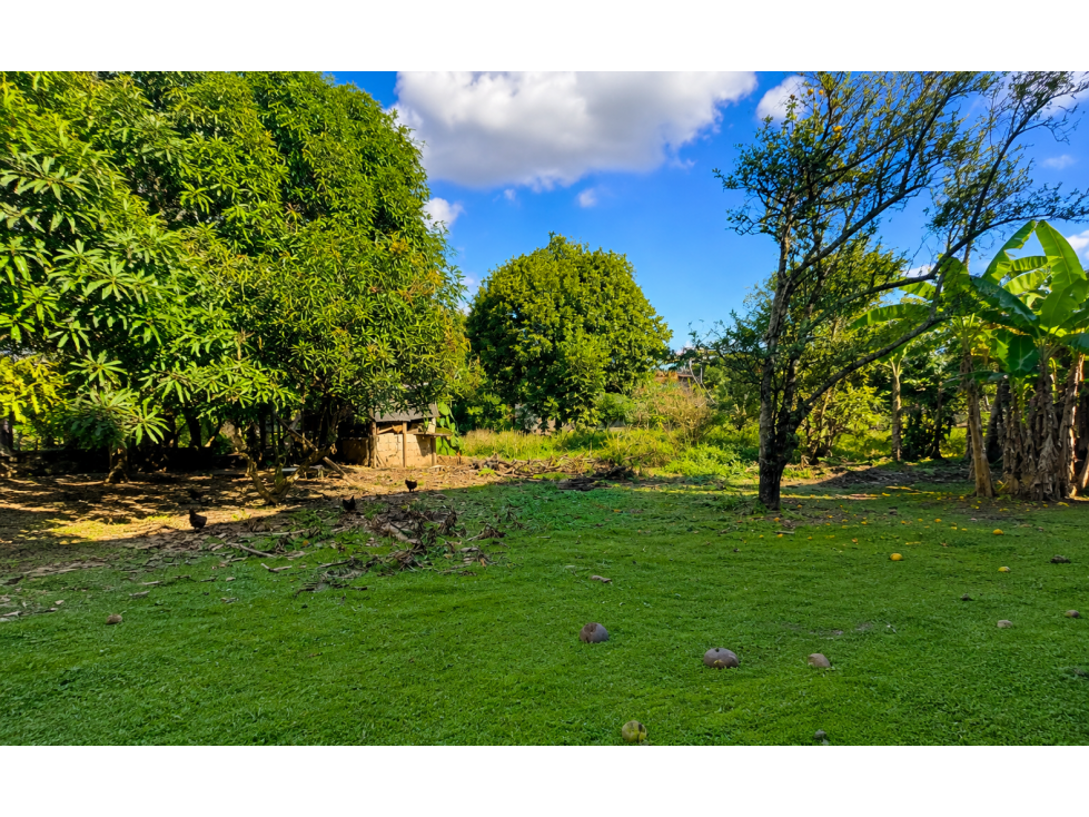 TERRENO URBANO JOYA DE LOS SACHAS DE 400 M2 - 1