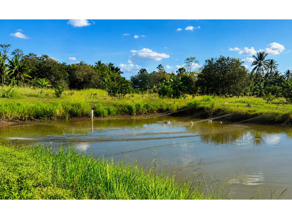 FINCA EN VENTA - 5 HECTAREAS EN ENOKANQUI - 1