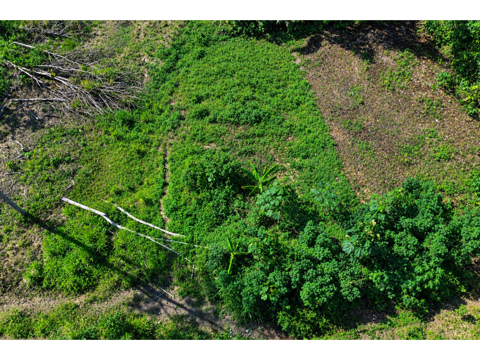 TERRENO EN VENTA EN SAN SEBASTIÁN DEL COCA - 1