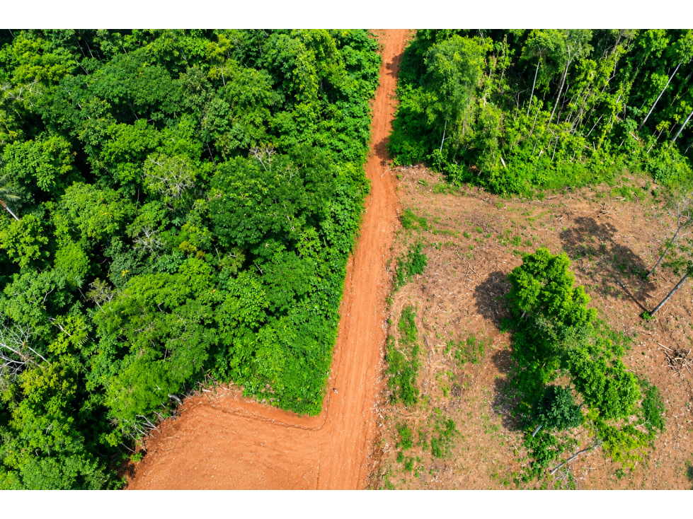 TERRENOS INDUSTRIALES EN VENTA EN LA VÍA COCA - SACHA - 2