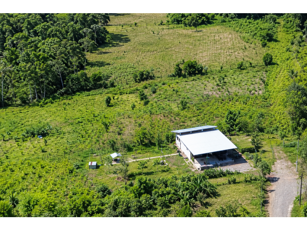 6 TERRENOS EN VENTA - SAN SEBASTIAN DEL COCA - 1