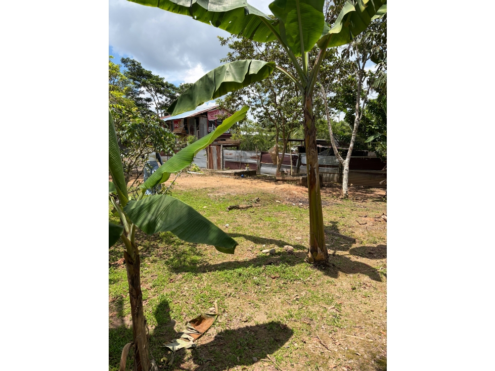 TERRENO EN VENTA CON CASA EN NUEVO COCA — foto 3