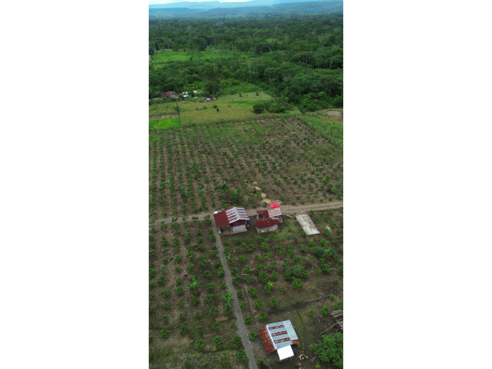 FINCA EN LORETO, SECTOR NUEVA ESPERANZA - 2