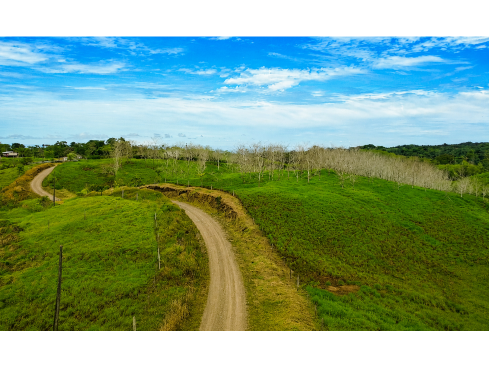 FINCA GANADERA EN VENTA SECTOR PROGRESO, LA PUYO - 4