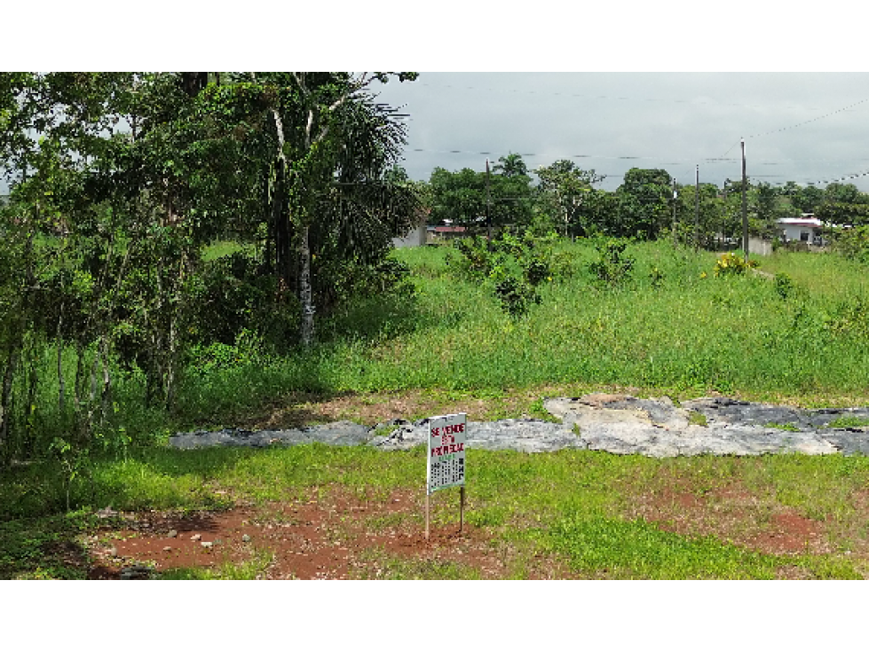 TERRENO ESQUINERO EN EL BARRIO GUADALUPE LARRIVA - 1