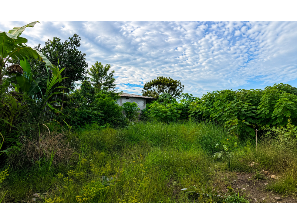 TERRENO EN VENTA - NUEVO COCA/BELLAVISTA - 1