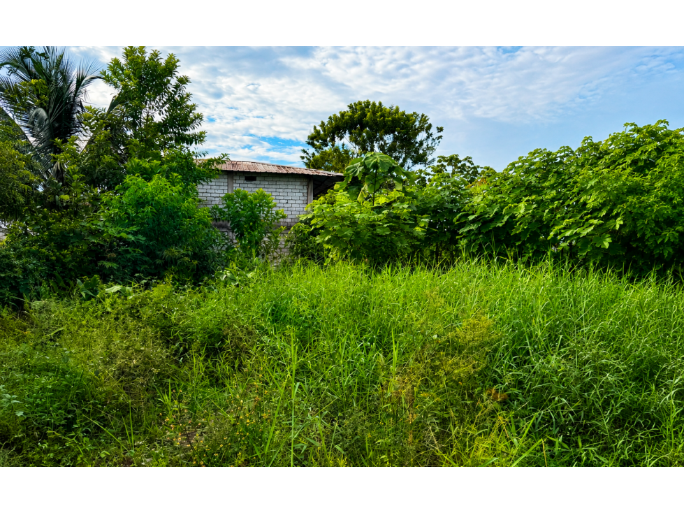 TERRENO EN VENTA - NUEVO COCA/BELLAVISTA - 2