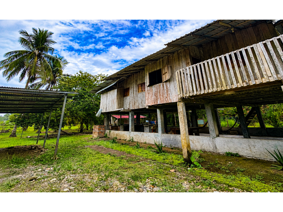 FINCA EN VENTA - 5 HECTAREAS EN ENOKANQUI - 4
