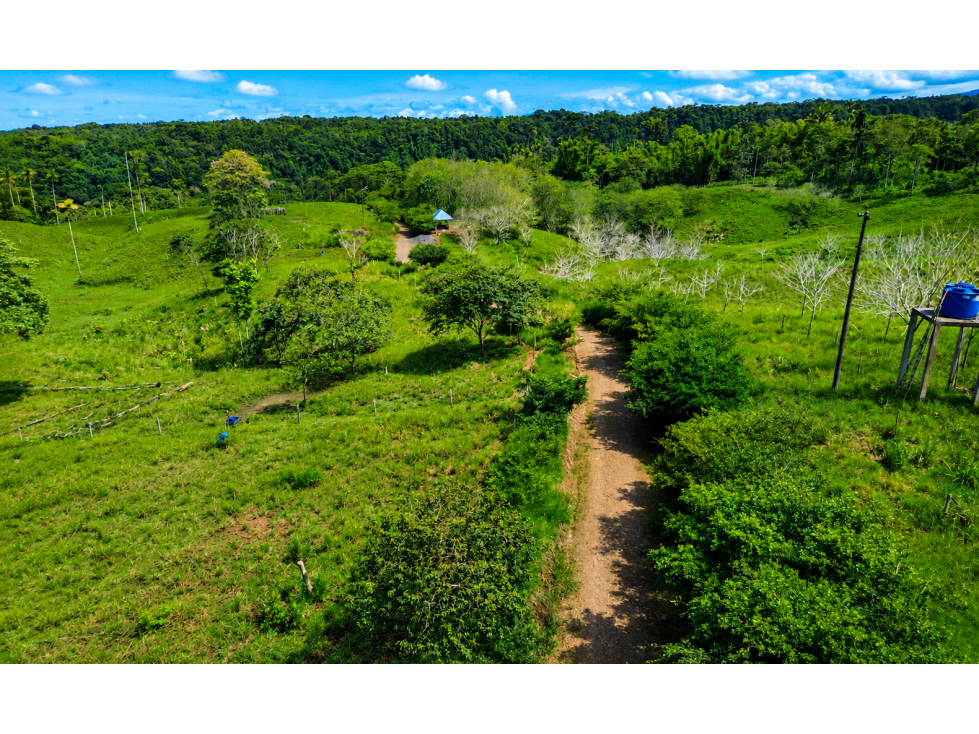 FINCA GANADERA EN VENTA SECTOR PROGRESO, LA PUYO - 5
