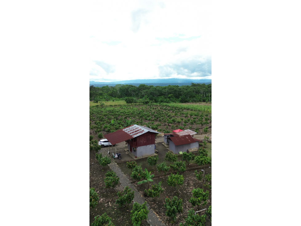 FINCA EN LORETO, SECTOR NUEVA ESPERANZA - 1