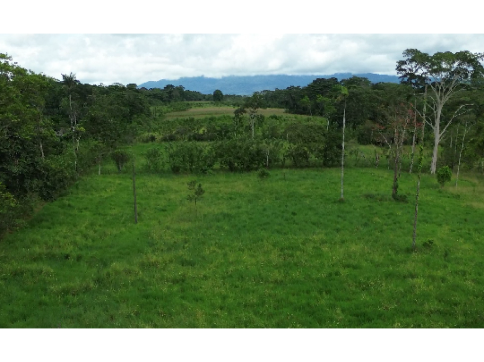 TERRENO DE 14 HECTÁREAS - ENTRADA A KARUTAMBO - 1