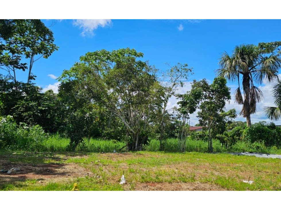 TERRENO EN EL SECTOR ELÍAS GAVILANEZ - 2