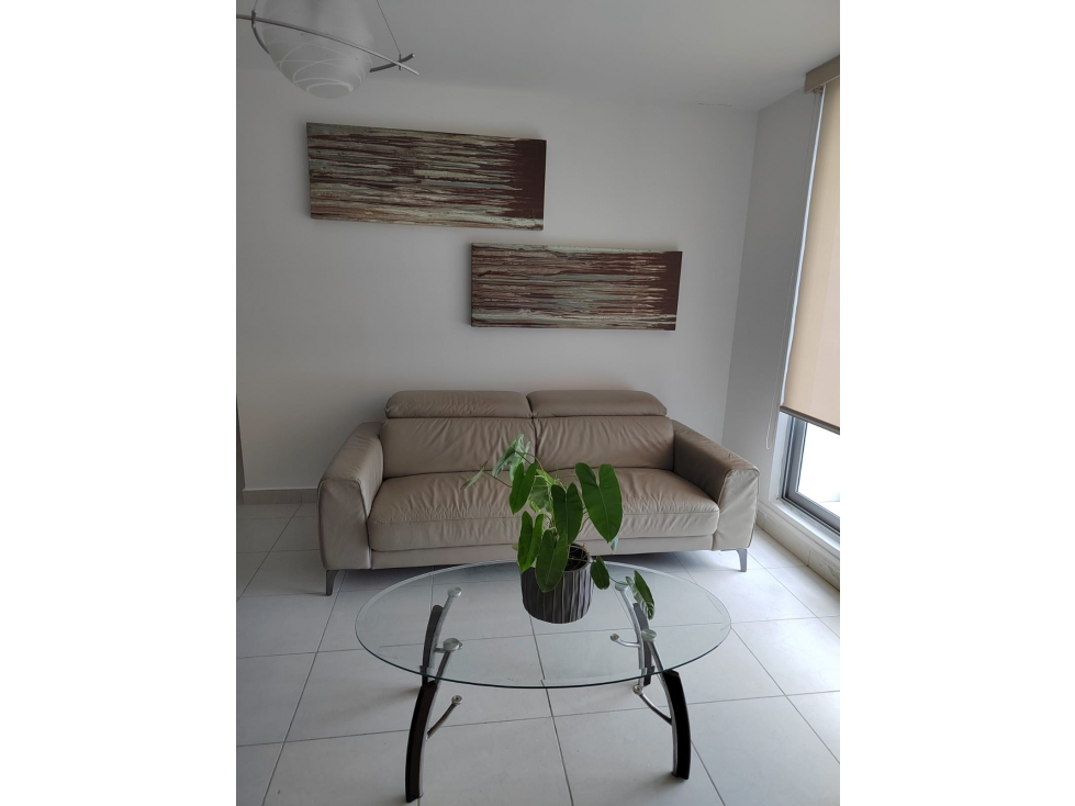 Alquiler Apartamento PH Miro en el Cangrejo — foto 5