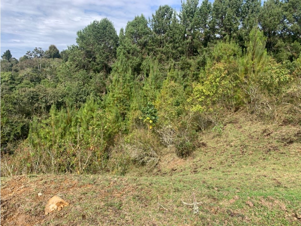 Venta Lote Santa Elena La Morena — foto 3