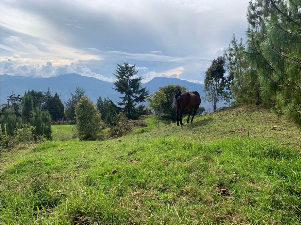 Venta Lote Santa Elena La Morena — foto 5