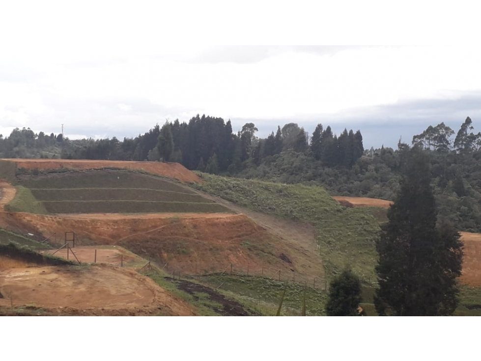 LOTES EN VENTA GUARNE CERCA DEL AEROPUERTO — foto 5