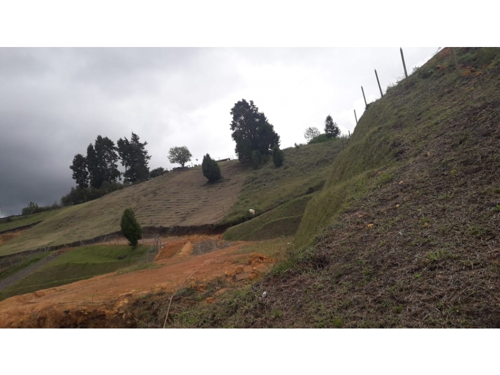 LOTES EN VENTA GUARNE CERCA DEL AEROPUERTO — foto 6