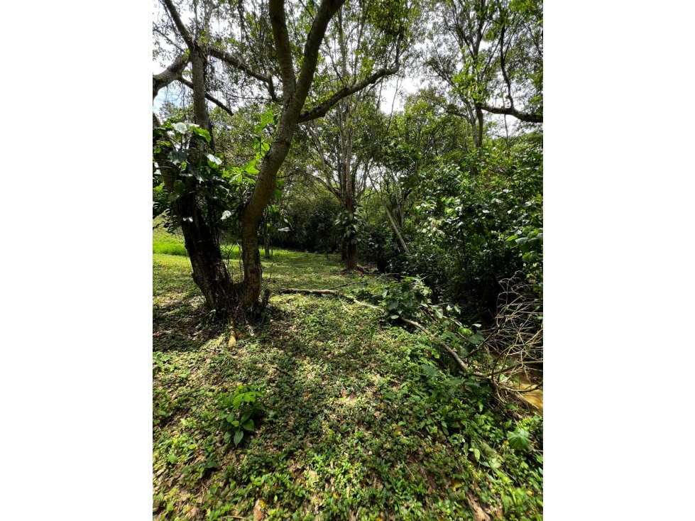 Lote En Venta Sopetran El Rodeo 7 Mil Metros Cuadrados — foto 6
