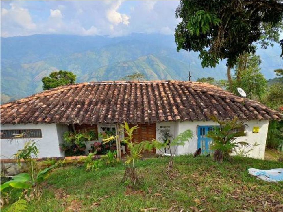 GANGA FINCA EN VENTA SANTA BARBARA - DAMASCO SE RECIBEN VEHICULOS - 3