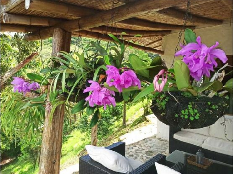 GANGA FINCA EN VENTA SANTA BARBARA - DAMASCO SE RECIBEN VEHICULOS - 6