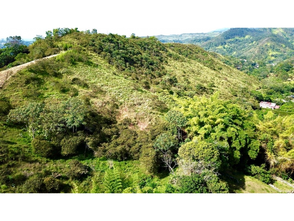 SE VENDE LOTE VIA A LA BUITRERA FFG — foto 5