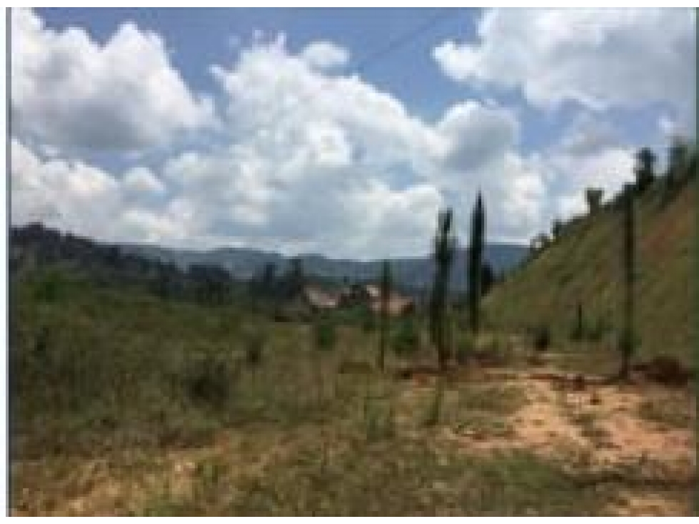 LOTE INDUSTRIAL GUARNE - VEREDA SAN JOSE. — foto 2