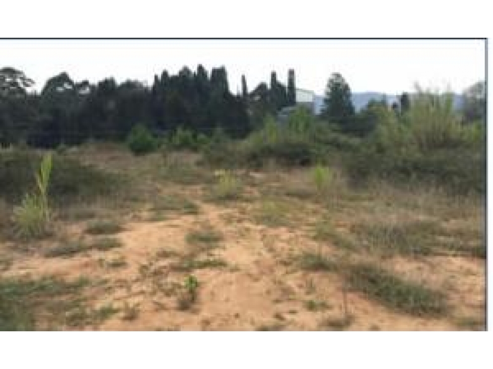 LOTE INDUSTRIAL GUARNE - VEREDA SAN JOSE. — foto 3