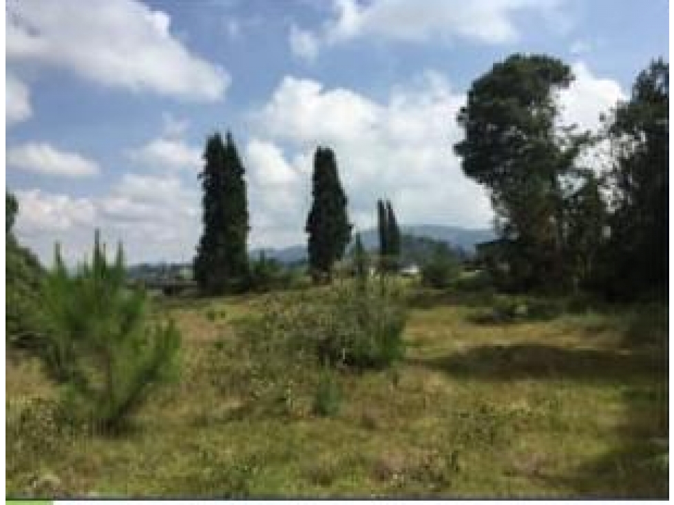 LOTE INDUSTRIAL GUARNE - VEREDA SAN JOSE. — foto 4