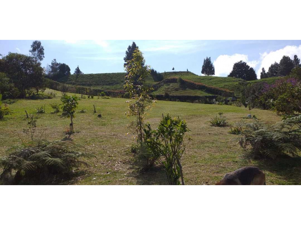 Venta de lote en El Retiro