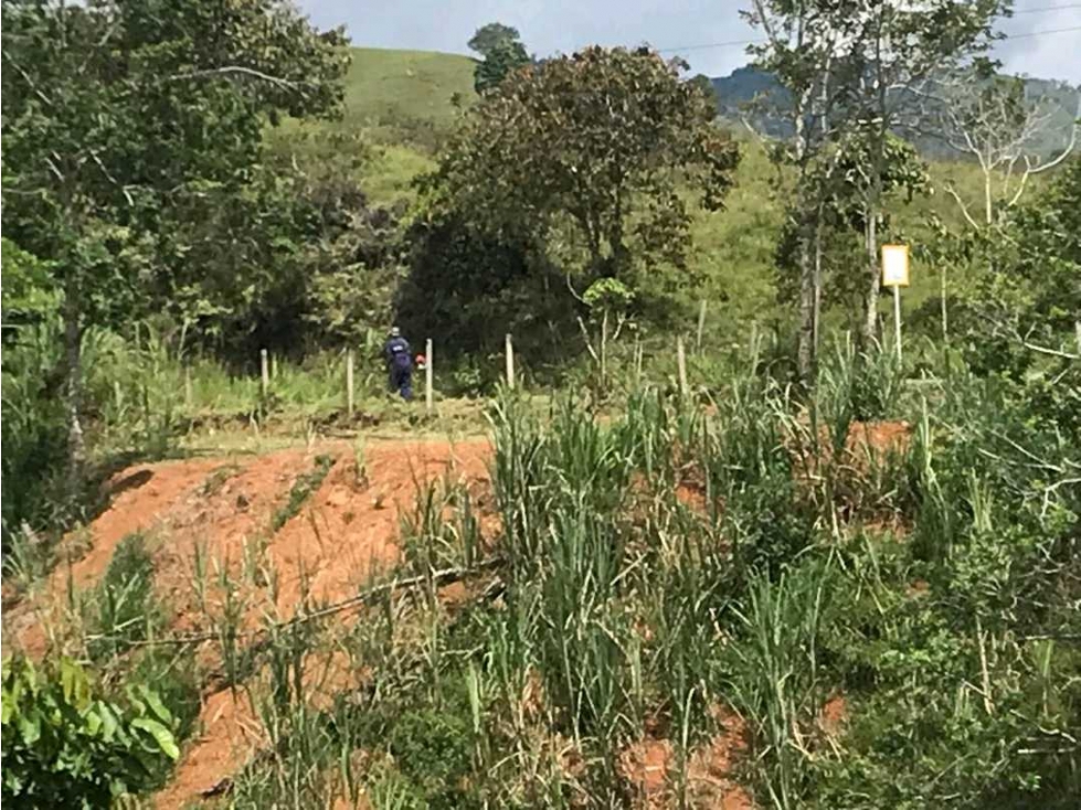 Venta de lote en San roque - 1