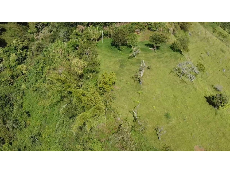 Lote en Venta Vereda La Aguadita Sonsón - 2