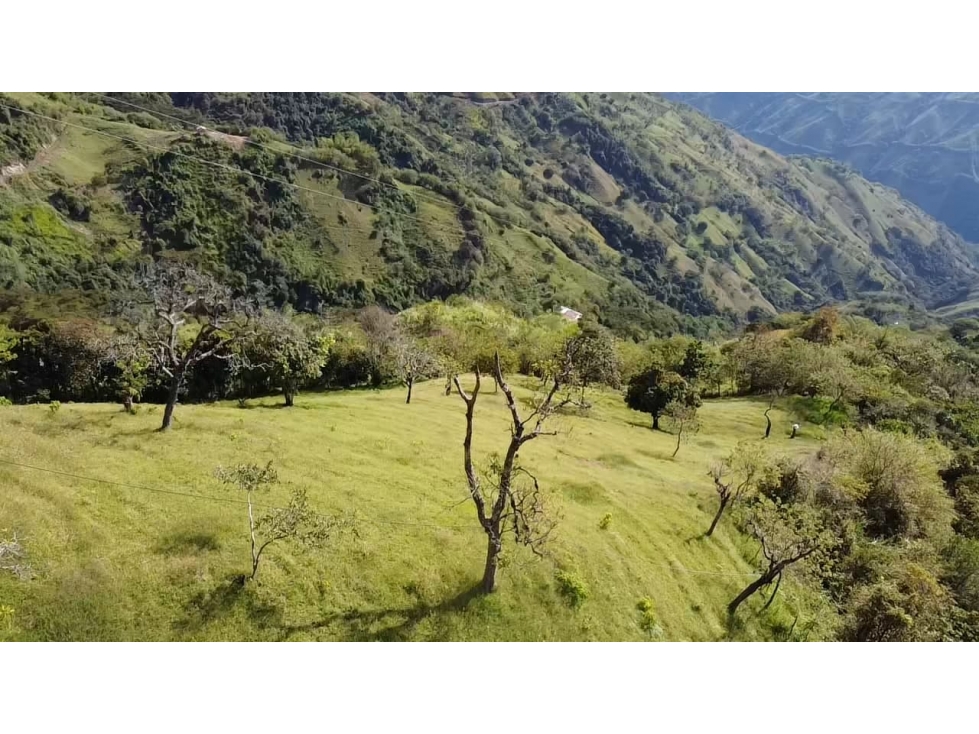 Lote en Venta Vereda La Aguadita Sonsón - 3