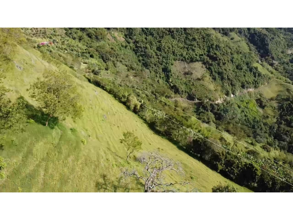 Lote en Venta Vereda La Aguadita Sonsón - 4