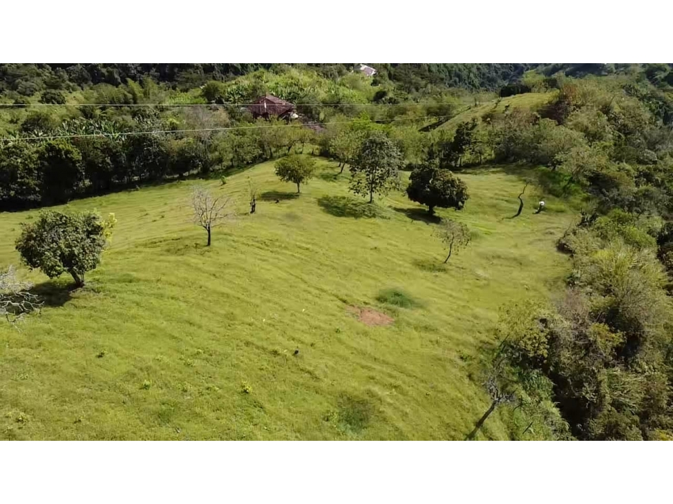 Lote en Venta Vereda La Aguadita Sonsón - 6