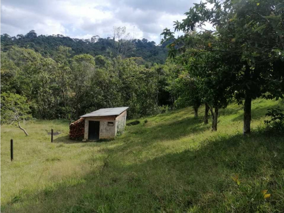 venta de lotes en caldas vereda la quiebra - 4
