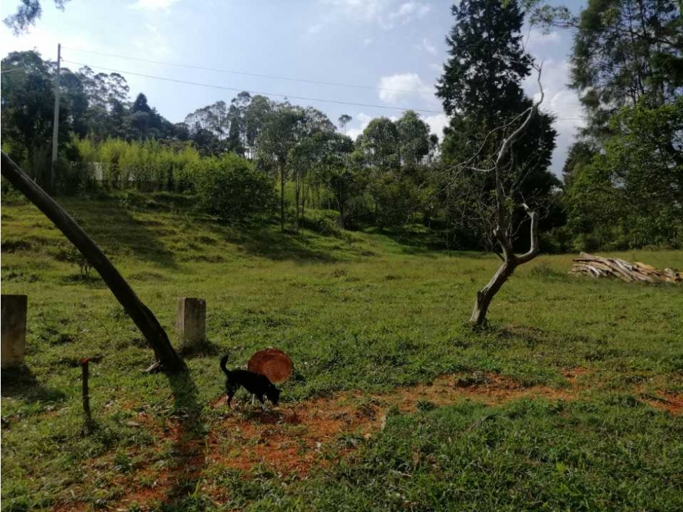 venta de lotes en caldas vereda la quiebra - 6