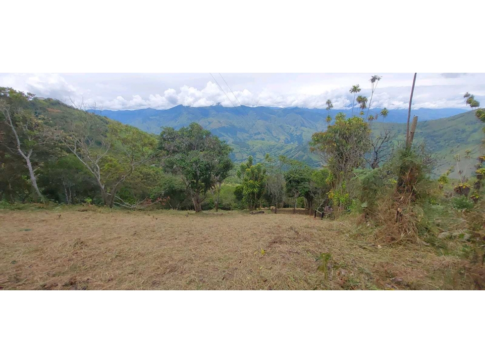 Venta lote Titiribi - 3