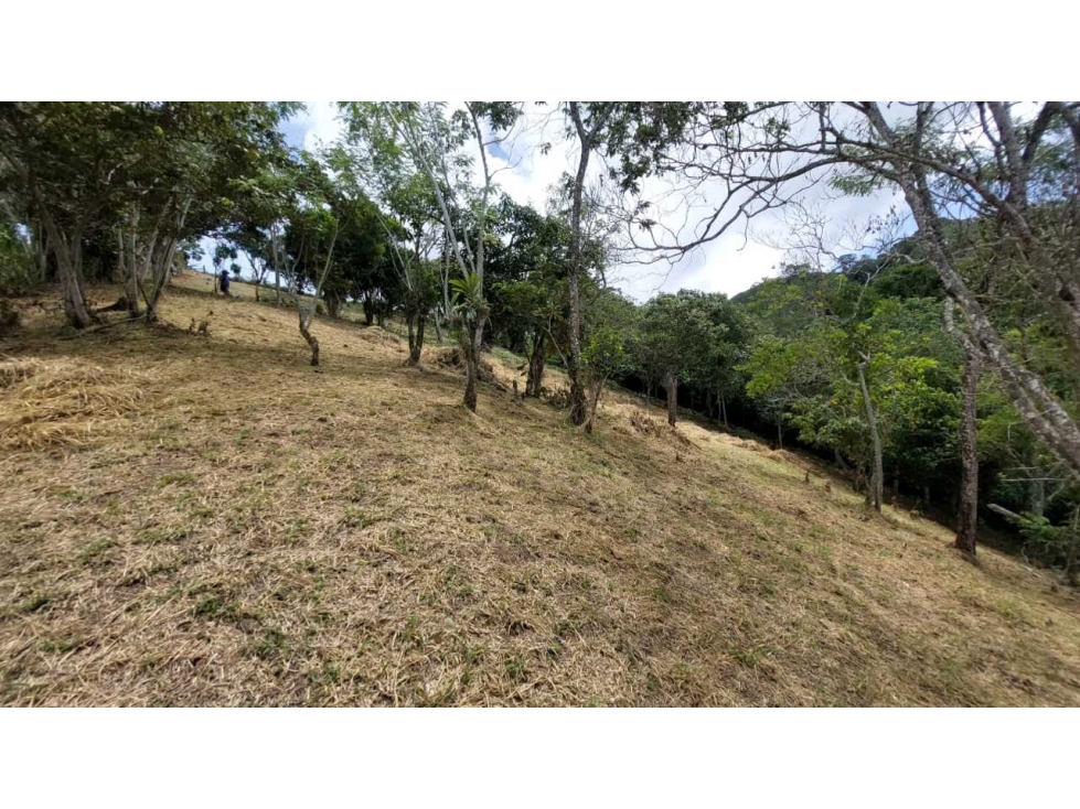 Venta lote Titiribi - 4