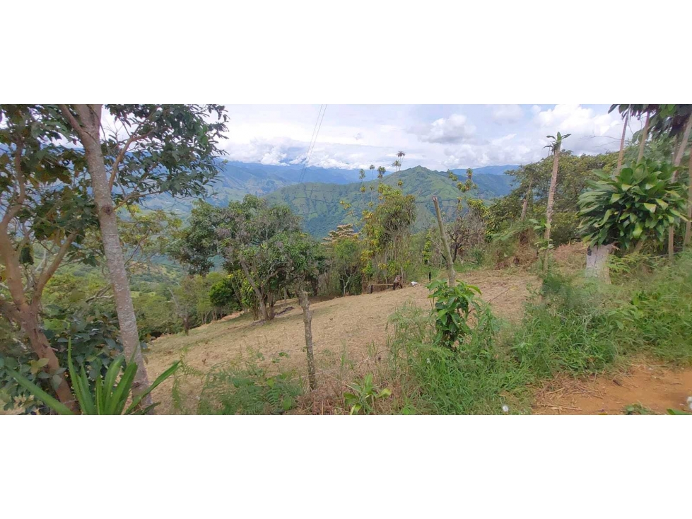 Venta lote Titiribi - 5