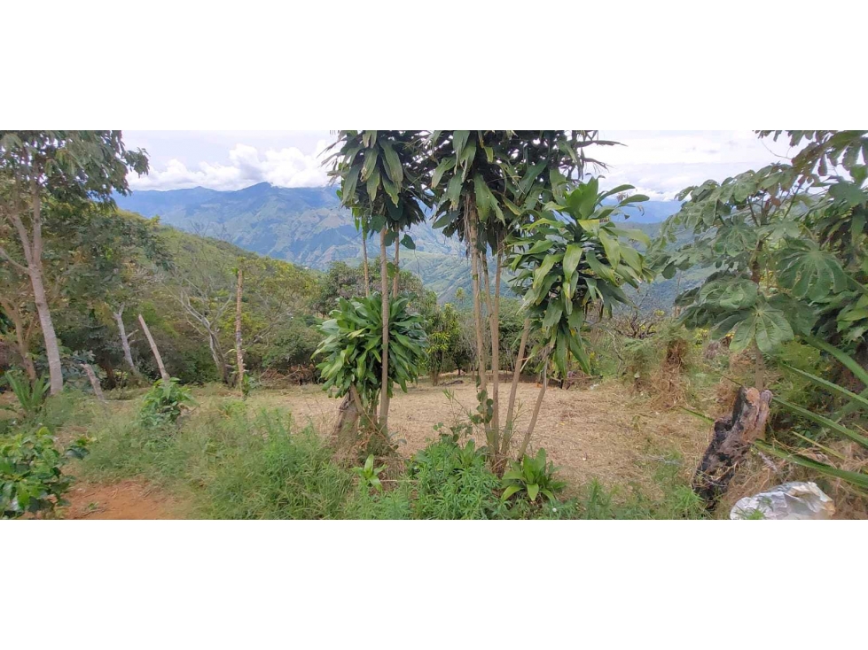 Venta lote Titiribi - 6