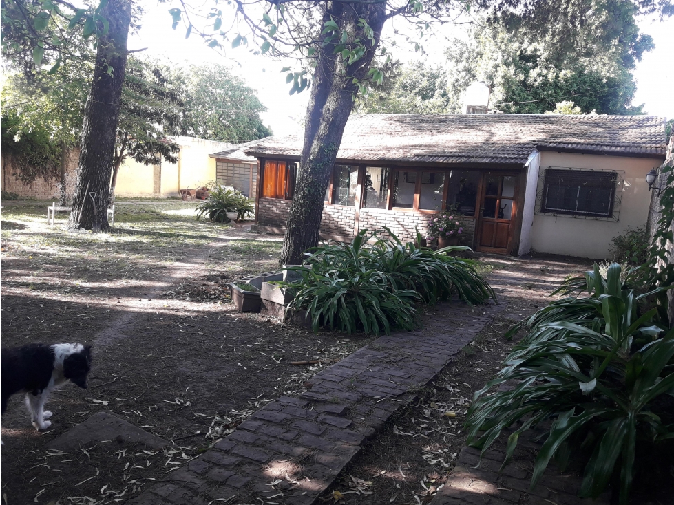 Casa 4 Ambientes - Casa estilo Campo - Castelar Sur — foto 4